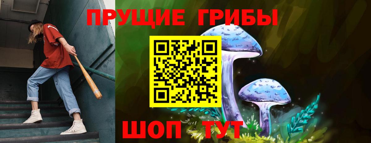 Галлюциногенные грибы ЛСД  Вход с VPN  Черняховск 